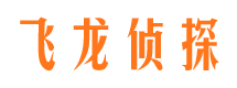 波密市婚姻调查